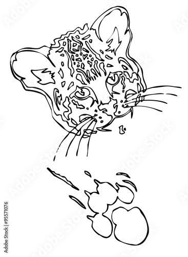 Принти на полотні Leopard puma or jaguar face with print of paw