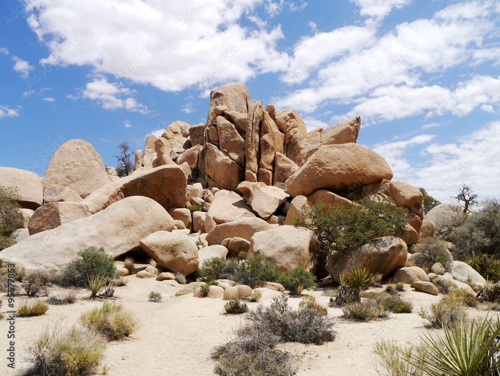 Joshua Tree National Park, California Joshua Tree National Park, California