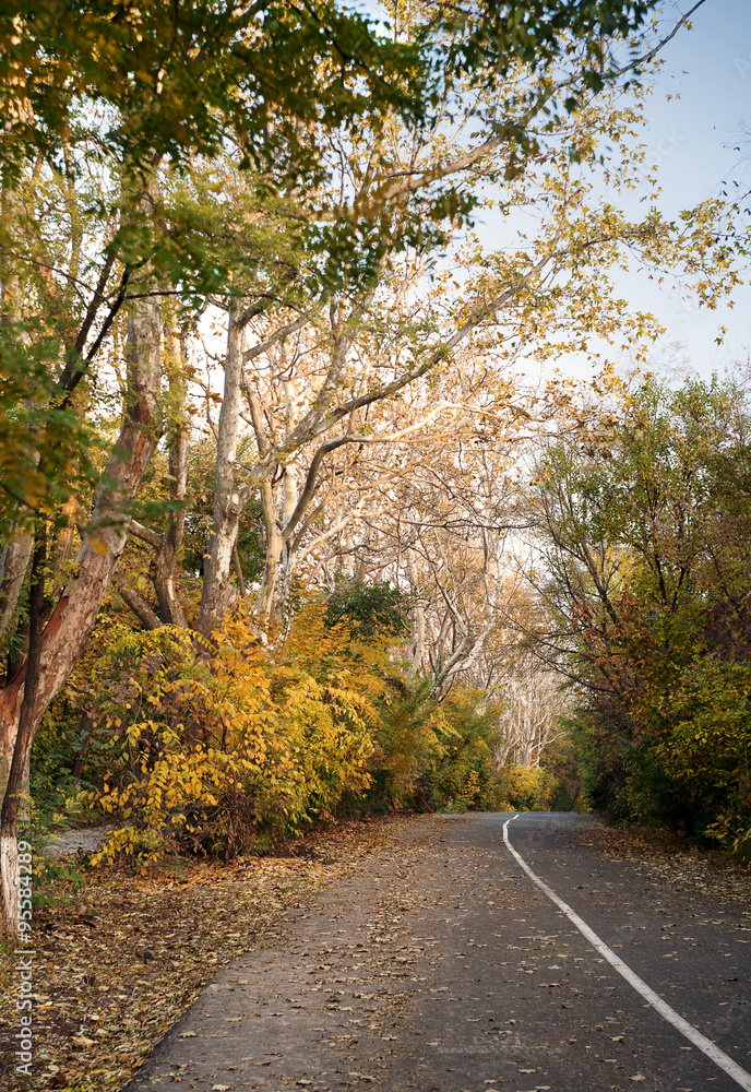 Vibrant autumn road in the park, golden autumn colors