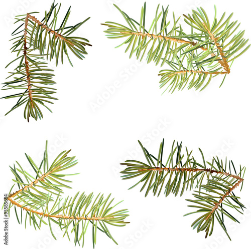Realistic needles, spruce branches Christmas tree, detailed, frame of spruce branches, template for design