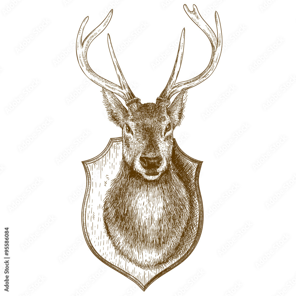 Obraz premium engraving stuffed reindeer head on white background