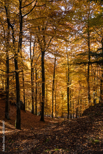 Landschaft im Herbst