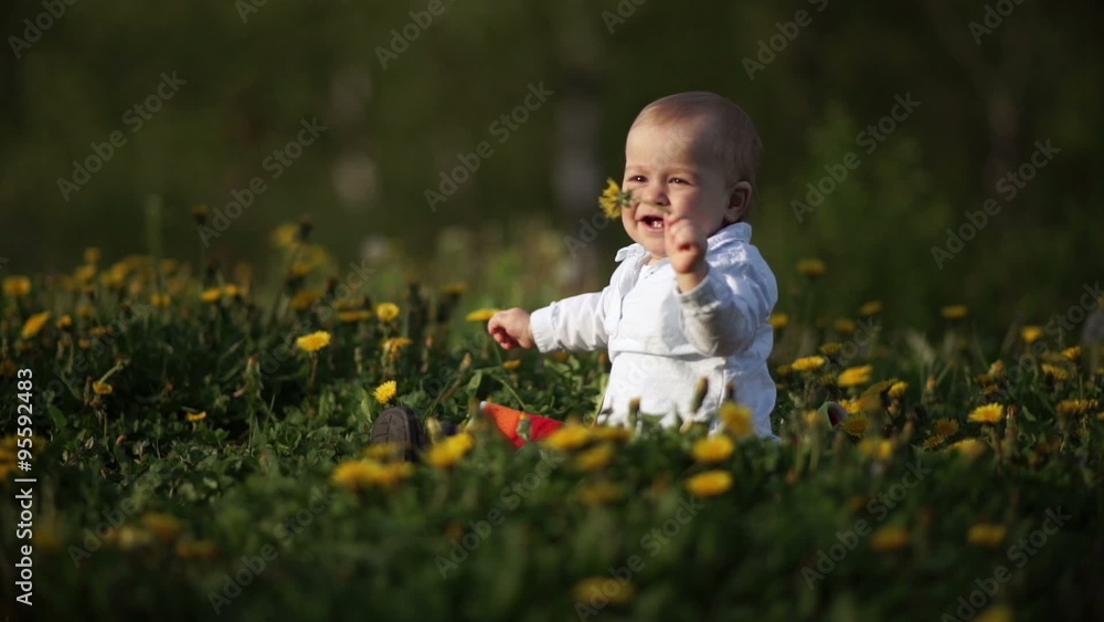 Baby boy playing on grass. He is smiling and holding a yellow flower, dandelion. Sunset, good weather, blooming dandelion. The boy waving flower. Baby boy playing on grass. He is smiling and holding a yellow flower, dandelion. Sunset, good weather, blooming dandelion. The boy waving flower.