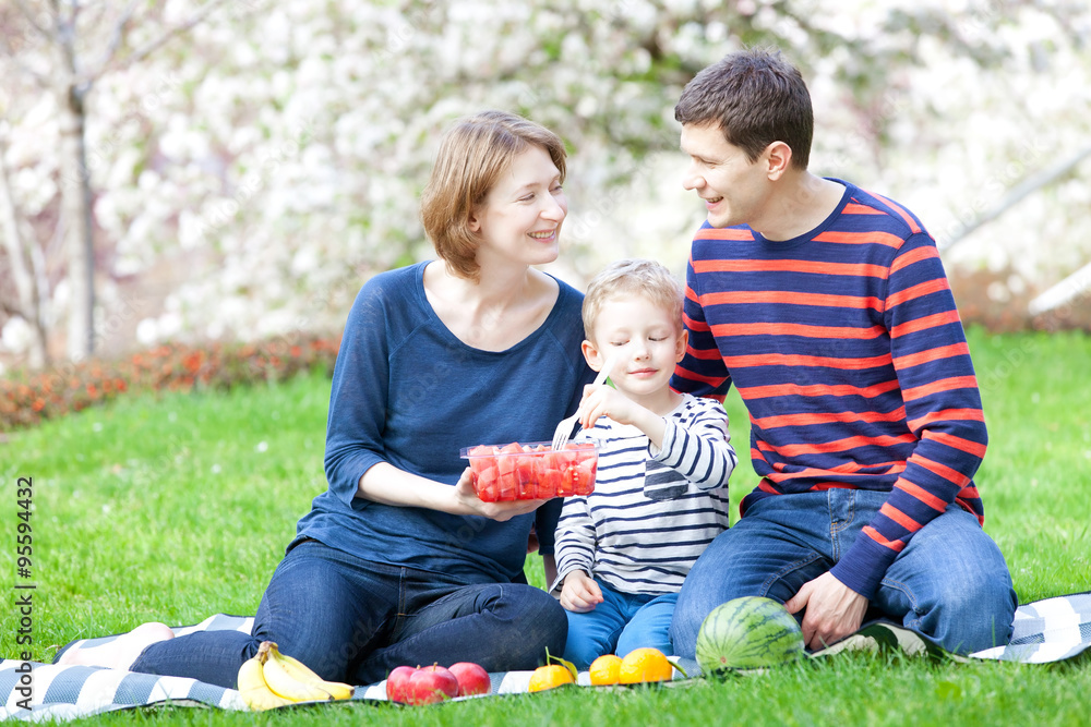 Fototapeta premium family picnic
