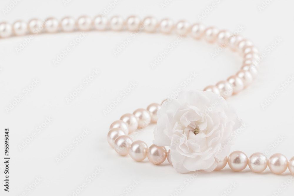 Pearl necklace close up with miniature rose Pearl necklace close up with miniature rose