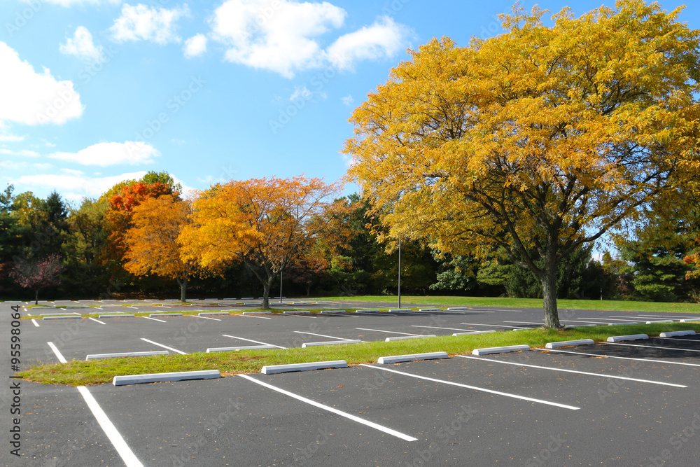 Naklejka premium jesienią puste drzewa parkingowe