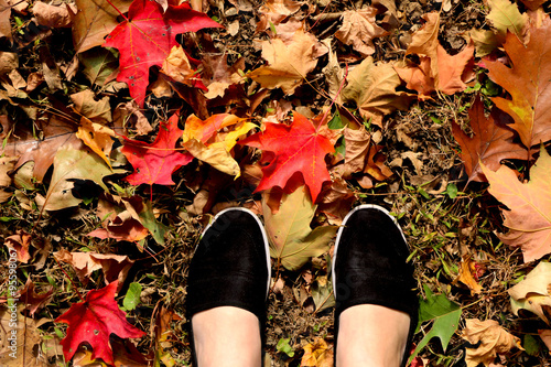 walking feet in autumn