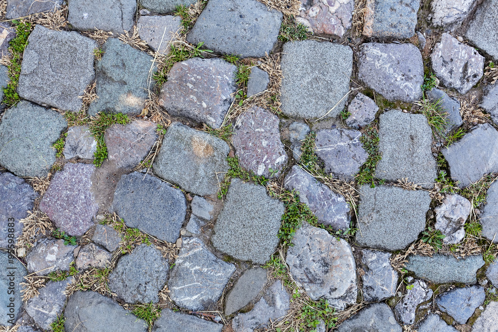 Obraz premium detail of cobblestone path