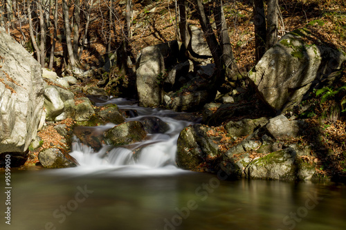 River flowing in the woods photo