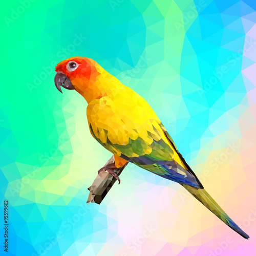 colorful parrot with polygon style