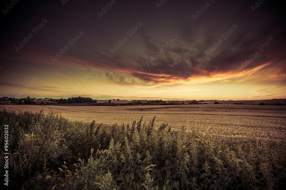 Beautiful sunset over summer field Beautiful sunset over summer field