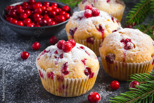 Photography Cranberry muffins with powdered sugar