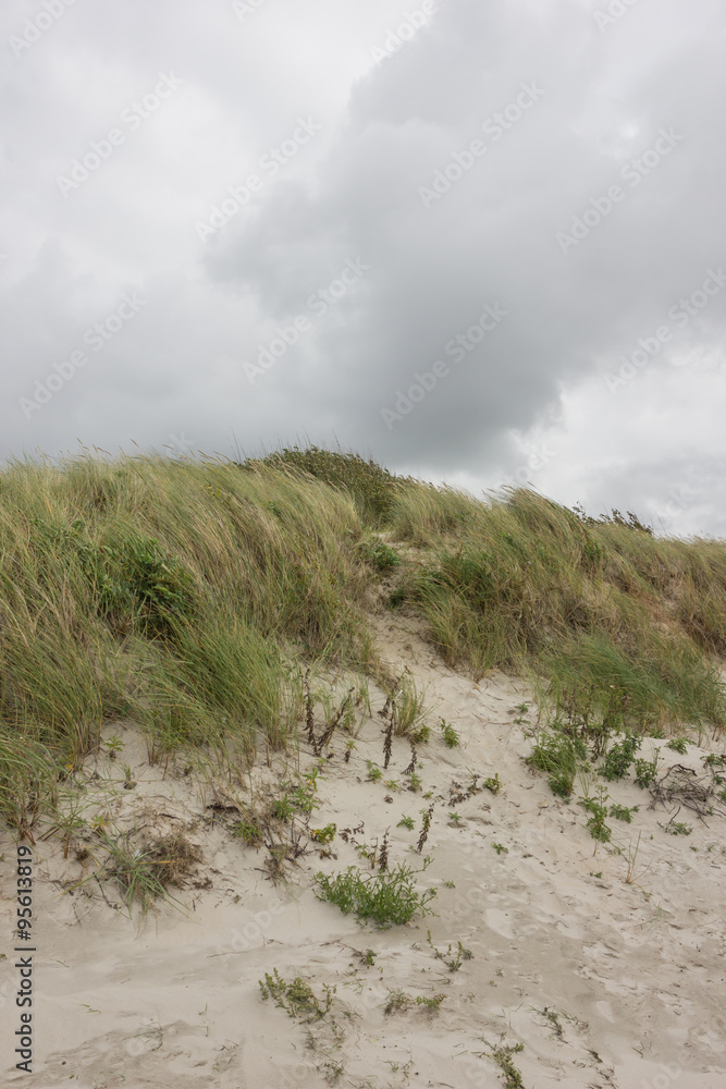 Nordseestrand Insel Föhr 
