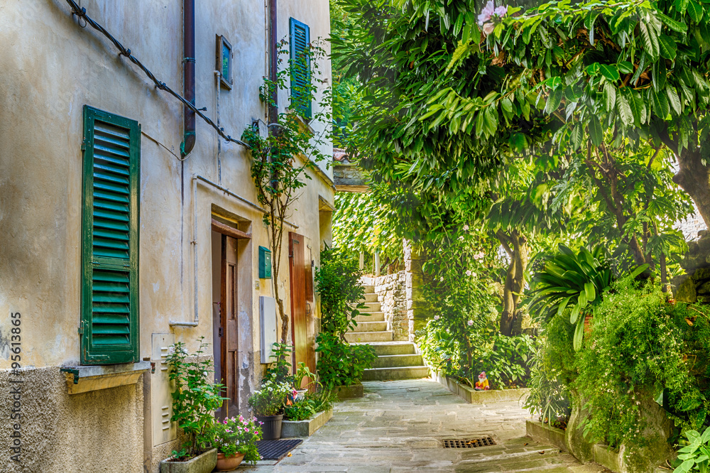 alley in hill village in Italy