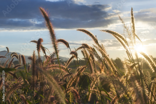 Prairie backlight