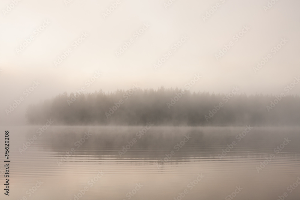 Fototapeta premium Forest at lakeside at foggy morning