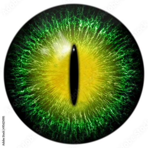 Green yellow cat, reptile or alien eye with narrow pupil