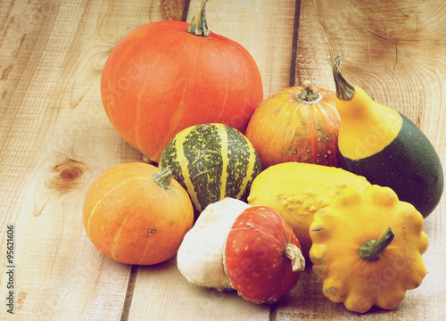 Squash and Pumpkins photo