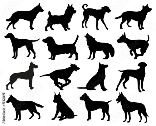 Dogs Silhouette
