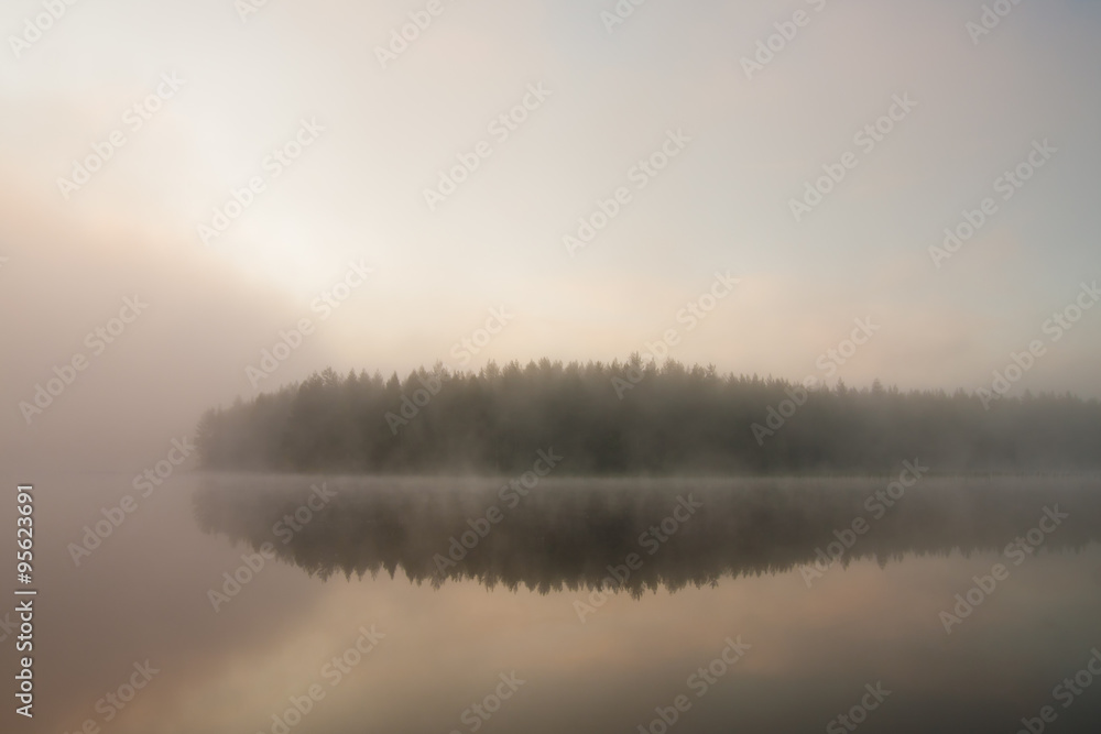 Forest at lakeside at foggy morning Forest at lakeside at foggy morning