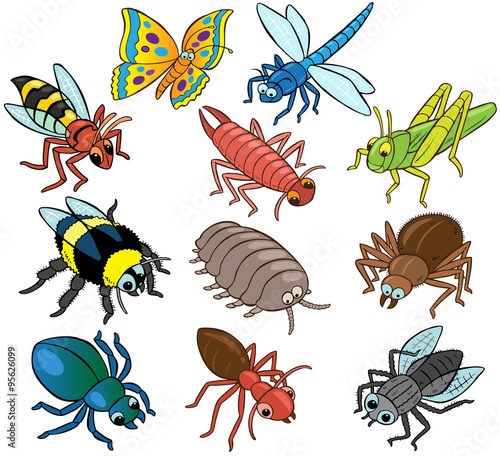 Cartoon Vector Insects © ianrward