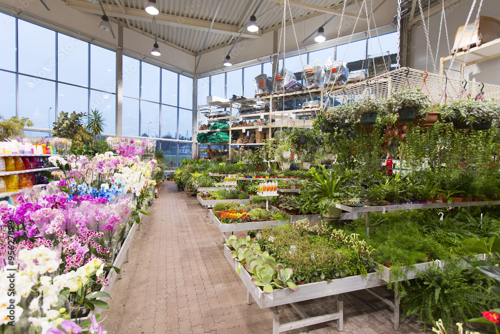 interior of flower and garden equipment shop