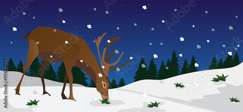 xmas scene