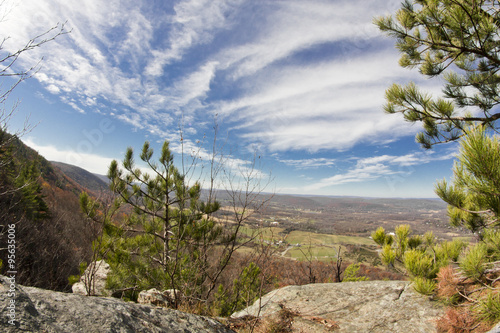 Appalachian Mountain Pine