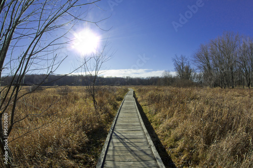 Wood Path Autumn Morning