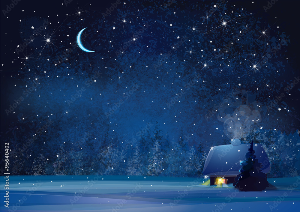 Obraz premium Vector night winter landscape with house and forest background.