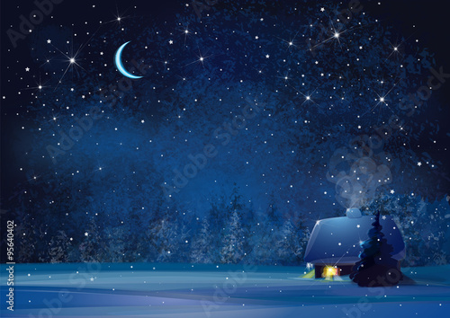 Vector night winter landscape with house and forest background.