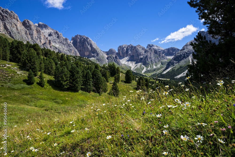 Odles mountain range in Summer, Dolomites, Italy