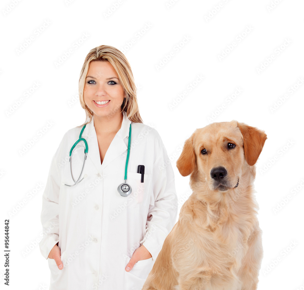 Blonde veterinary with a nice Labrador Retriever