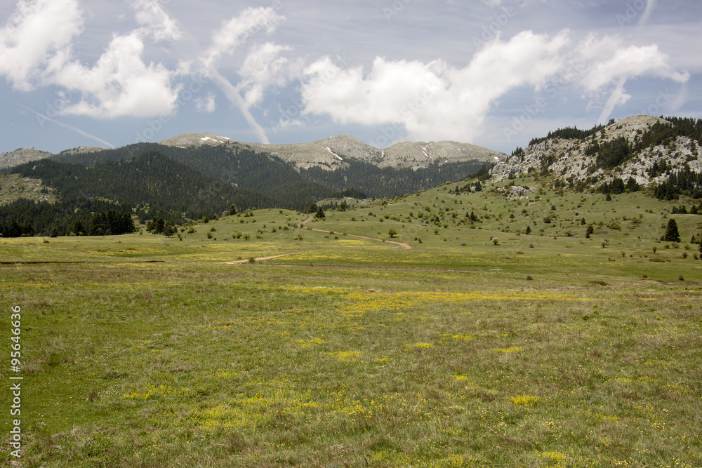 Oiti Mountain Meadows Oiti Mountain Meadows