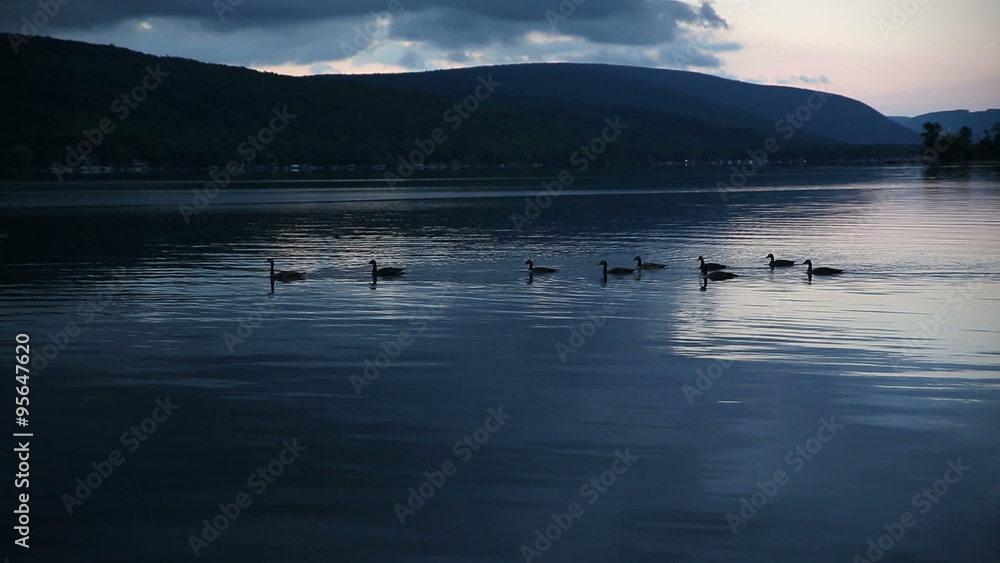 Morning Lake Ducks Swim Left. a early dawn morning shot of ducks swimming left on a tranquil lake scene
Morning Lake Ducks Swim Left. a early dawn morning shot of ducks swimming left on a tranquil lake scene