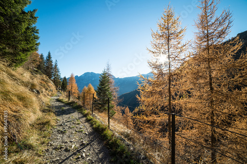 panorama alpino