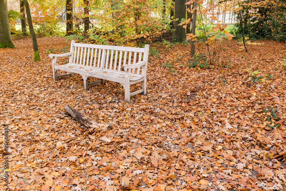 Wooden bench surrounded by many old fallen leaves in woods in autumn, Netherlands Wooden bench surrounded by many old fallen leaves in woods in autumn, Netherlands