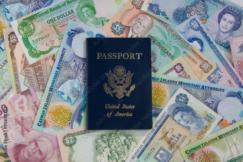 Passport and travel money
