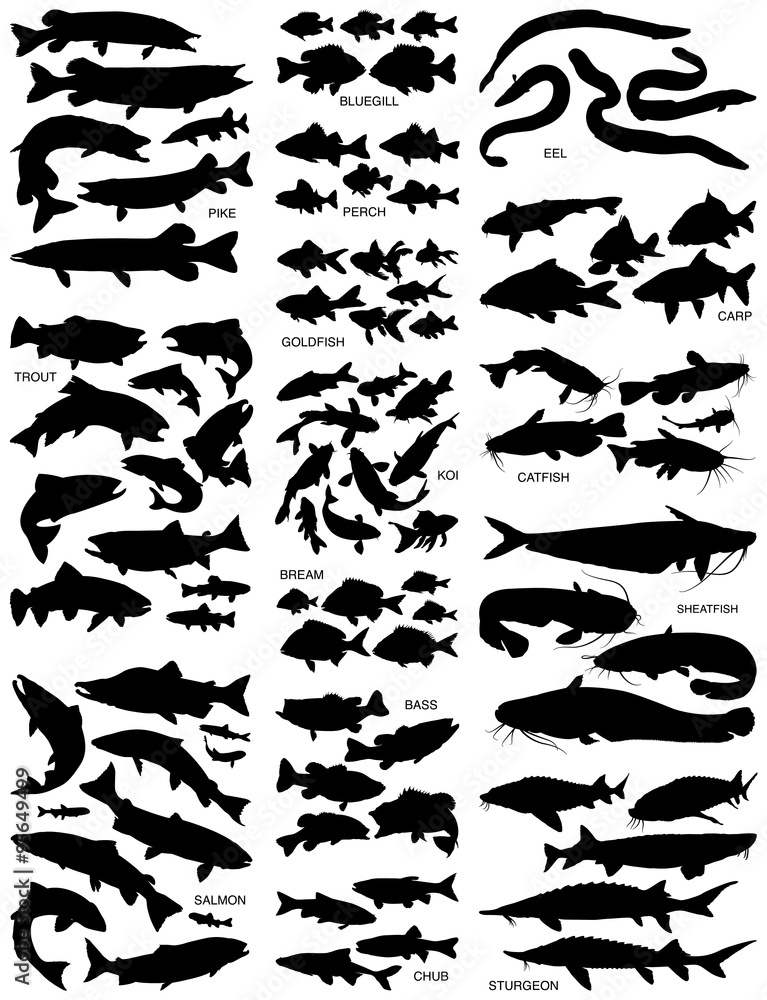 Naklejka premium Freshwater fish silhouettes collection