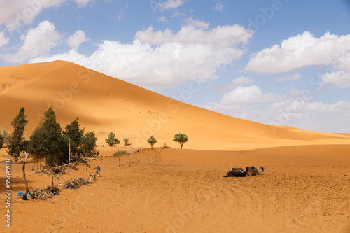sand dune Sahara