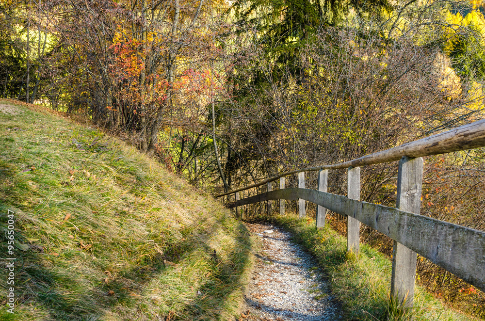 Narrow Mountain Trail lined with a Wooden Fence in Autumn Narrow Mountain Trail lined with a Wooden Fence in Autumn