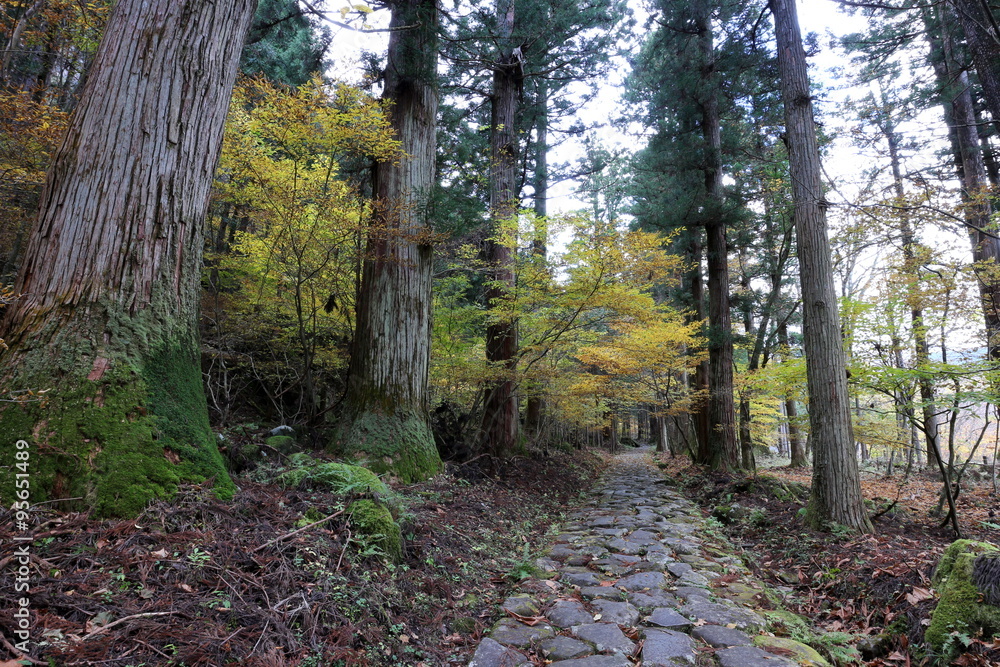 Obraz premium 日光二荒山神社 滝尾道