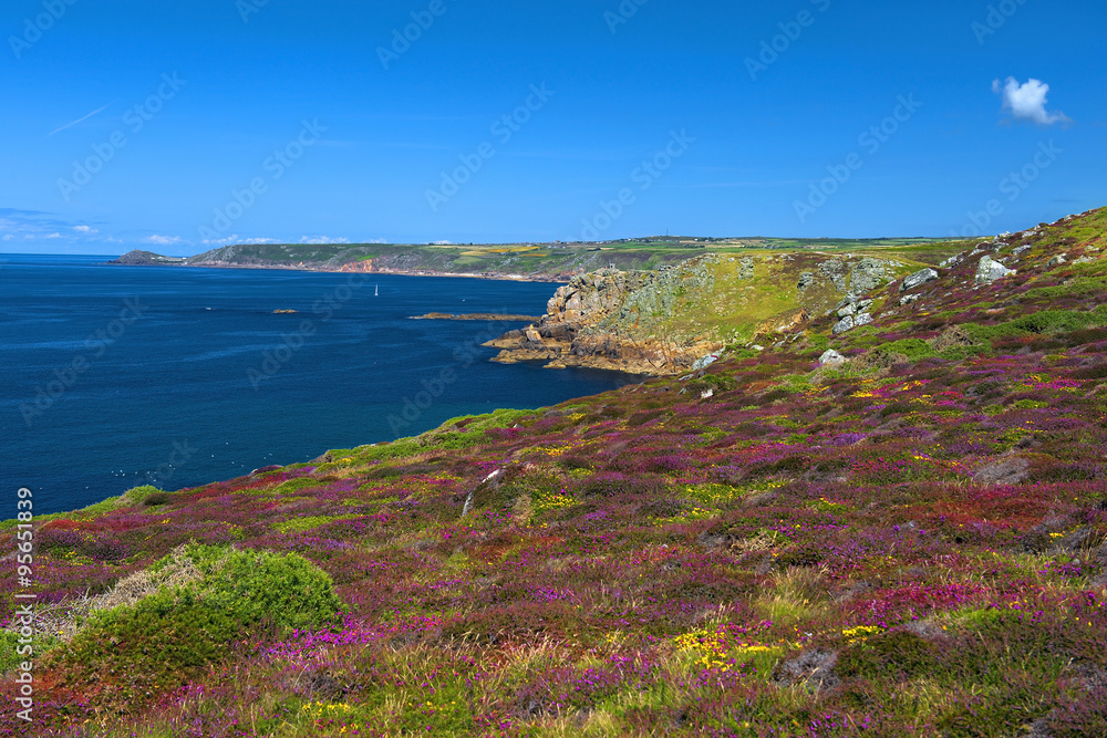 landscape of Land's End in Cornwall England