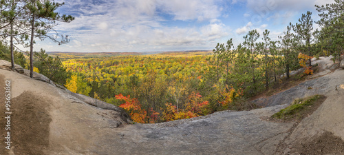 Panorama of a Forest in Fall Colour - Ontario, Canada
