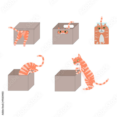set of images of icons with a cat in a cardboard box