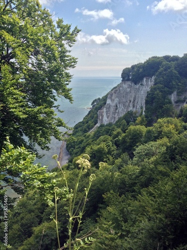 Kreidefelsen Koenigsstuhl photo