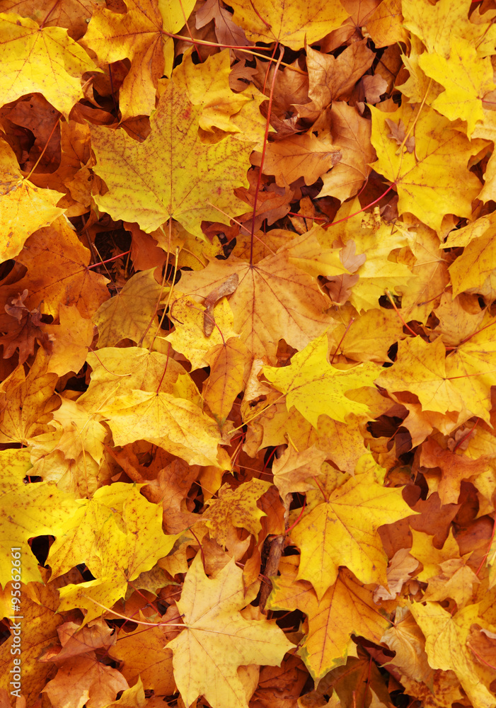 Herbst Herbst
