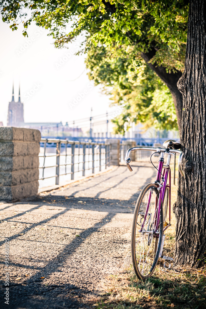 Fototapeta premium Road fixed bicycle on city street under tree
