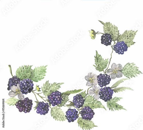 BlackBerry wreath watercolor