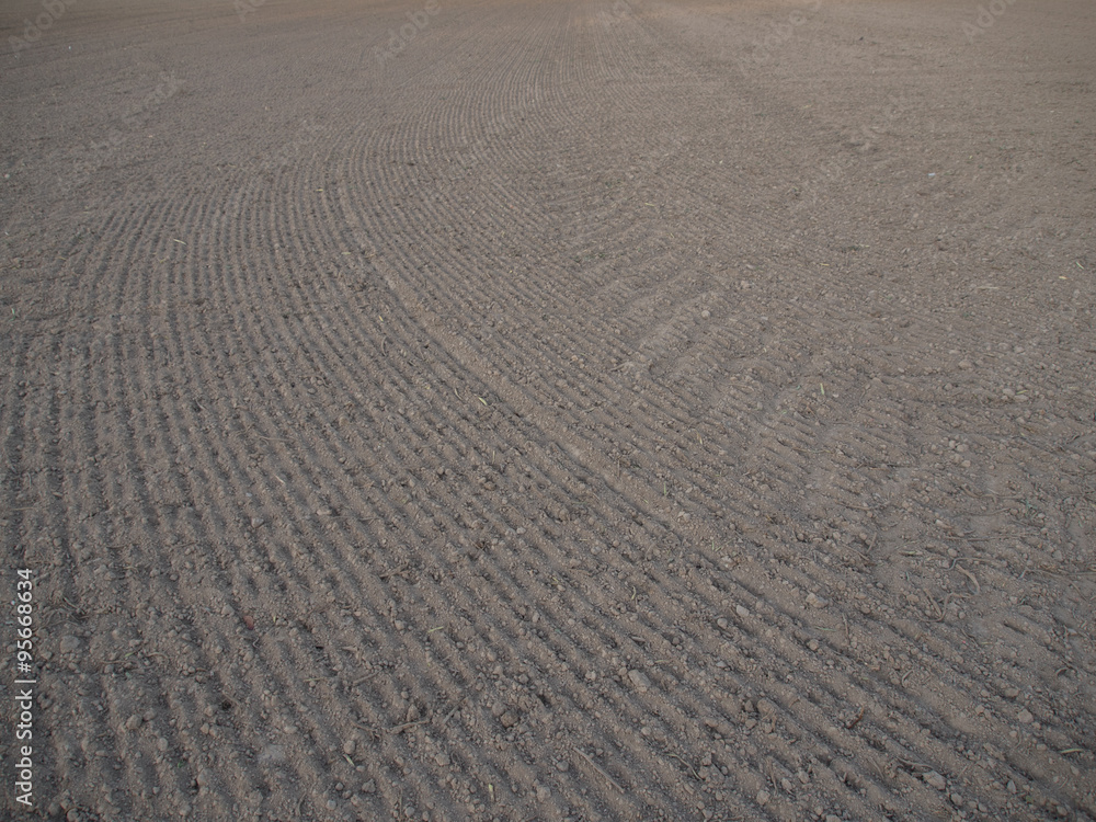 Obraz premium Acker am Ortsrand